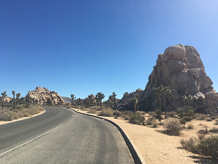 Joshua Tree NP